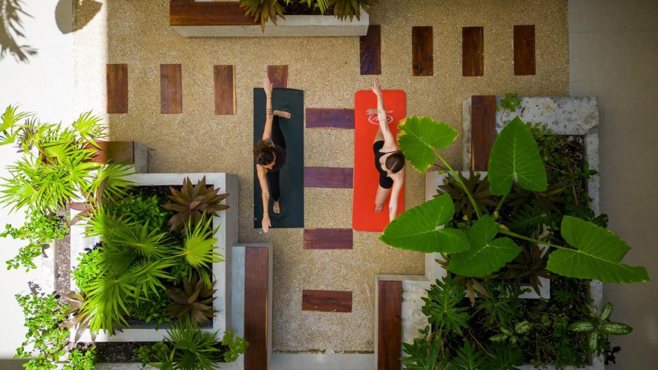 Fancy 3 Bedroom Apartments In Downtown Playa Rooftop Pool Gym Playa del Carmen Exteriör bild