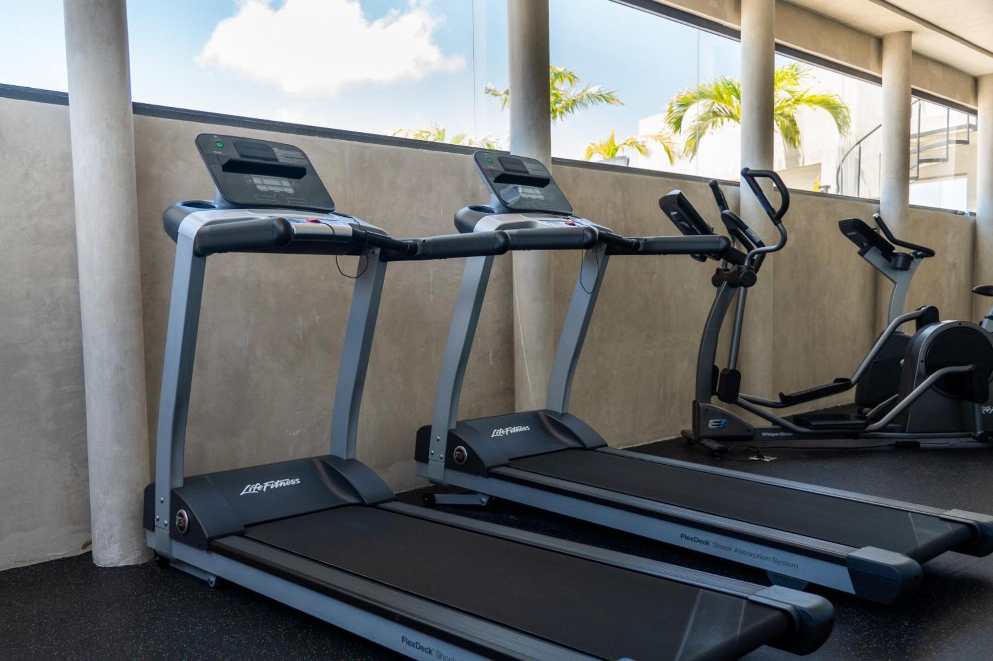 Fancy 3 Bedroom Apartments In Downtown Playa Rooftop Pool Gym Playa del Carmen Exteriör bild